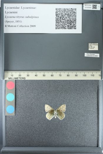Media type: image;   Entomology 183495